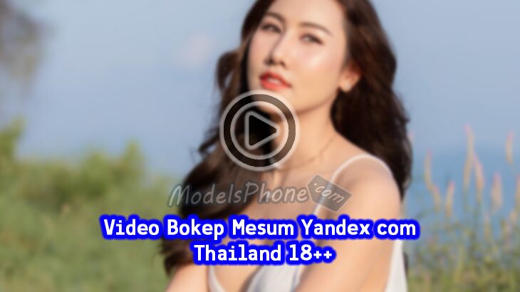 Bokeh Museum Yandex com Thailand